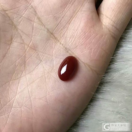 阿卡蛋面，紫霞微信1604073048_珊瑚蛋面