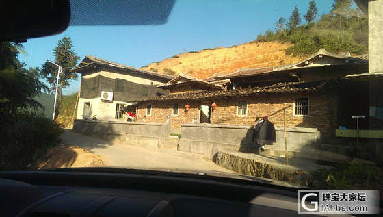 ★2016秋茶铁观音已新鲜上市（附收茶全过程图片欣赏）★_茶叶