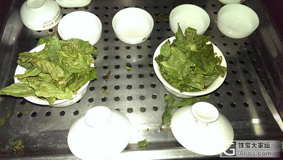 ★2016秋茶铁观音已新鲜上市（附收茶全过程图片欣赏）★_茶叶