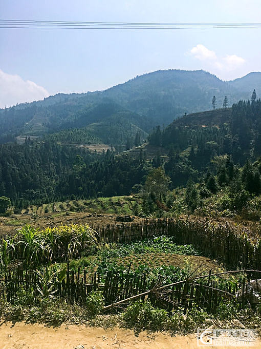 阳光明媚，风景优美，跟天然祖母绿更配_祖母绿原石