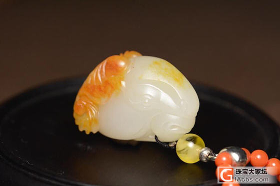 籽料 洋洋如意_和田玉