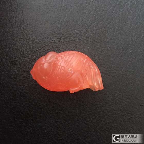 南红小🐳_南红