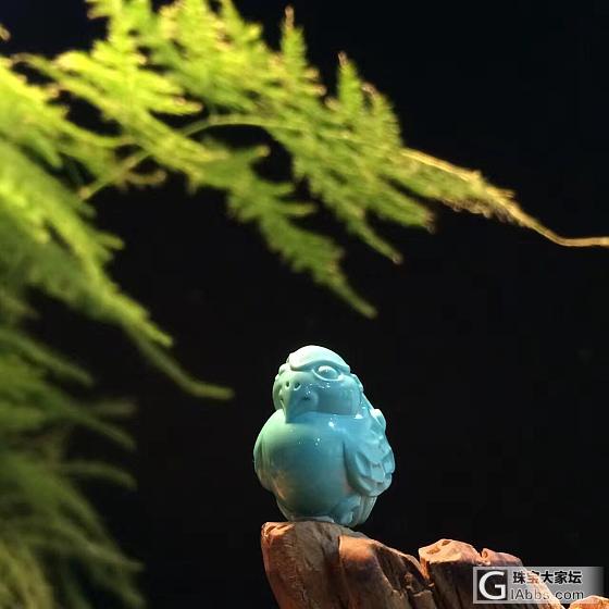 唯春色与绿松不可辜负..._松石把玩件