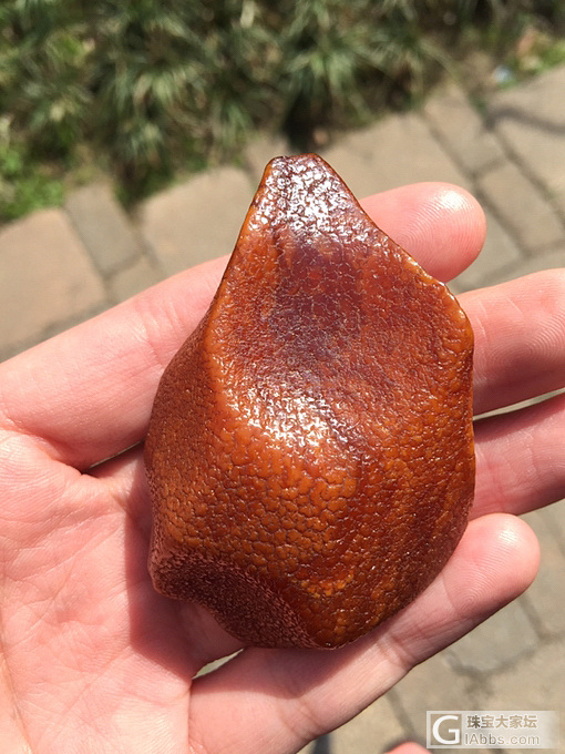 蜜蜡全皮原石，小极品_蜜蜡原石