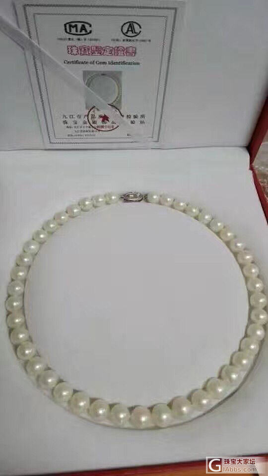 自家养殖的淡水珍珠项链_淡水珍珠