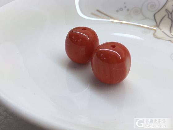 momo小钢炮 微信17051139689_珊瑚