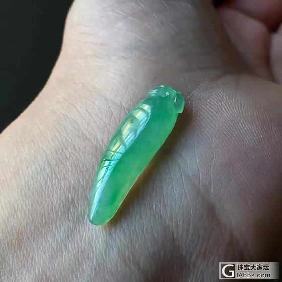 看这是不是你们喜欢的小鲜肉_翡翠