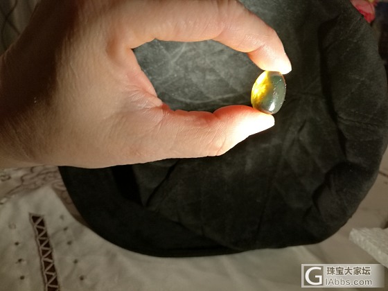 小虫，植物珀_植物珀琥珀