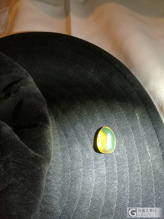 小虫，植物珀_植物珀琥珀