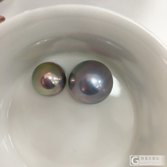 新鲜到手的马贝_求款式珍珠