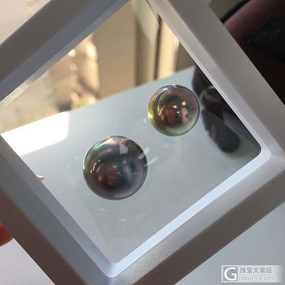 新鲜到手的马贝_求款式珍珠