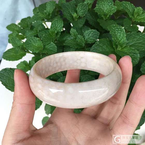 珊瑚玉手镯_珊瑚玉手镯