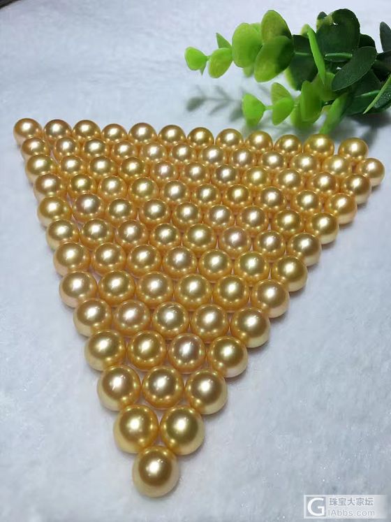 南洋金珠。大溪地。澳大利亚白珠_珍珠
