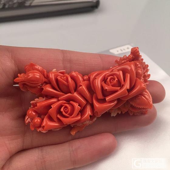 人人都渴望是你 却都不曾问及成为你的代价。_珊瑚