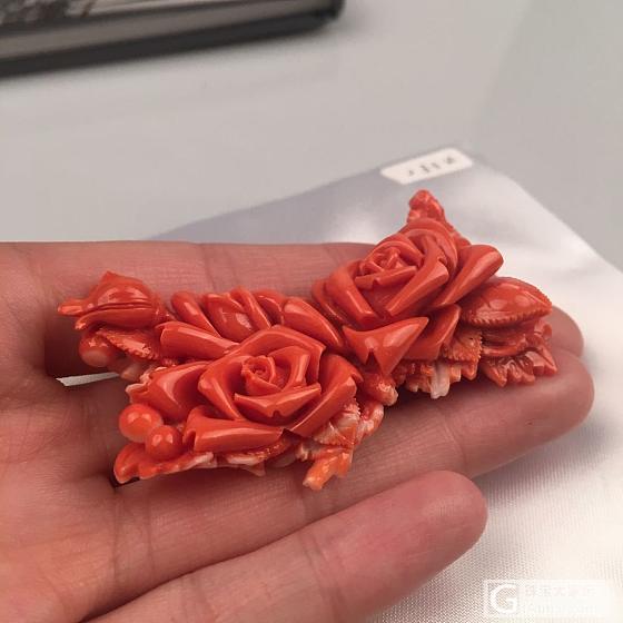 人人都渴望是你 却都不曾问及成为你的代价。_珊瑚