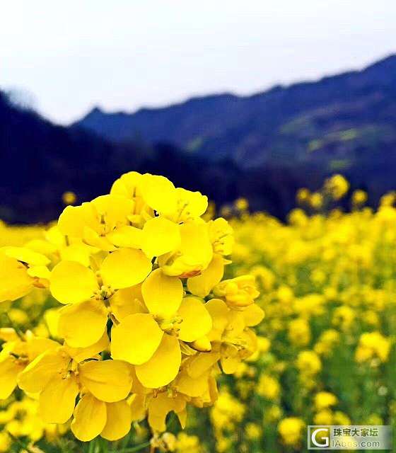 蝶恋花_松石挂件