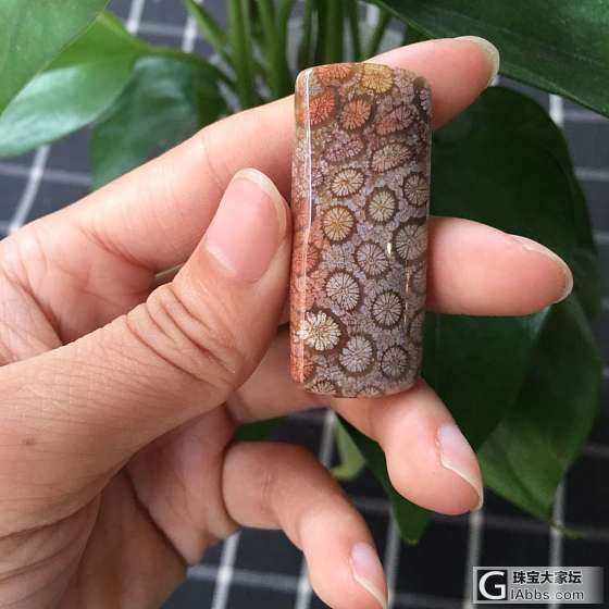 珊瑚玉吊坠_珊瑚玉挂件