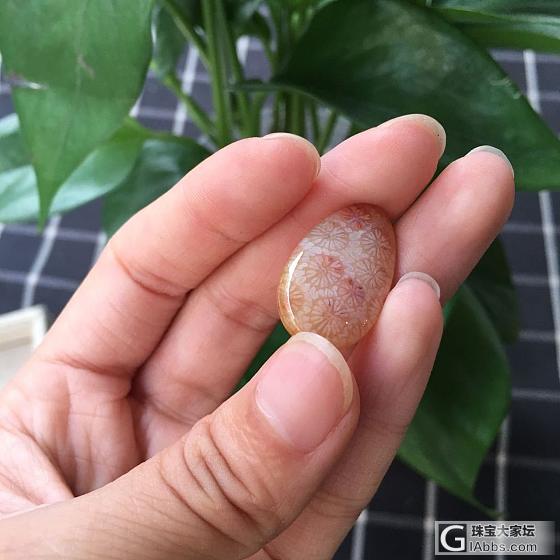 珊瑚玉吊坠_珊瑚玉挂件