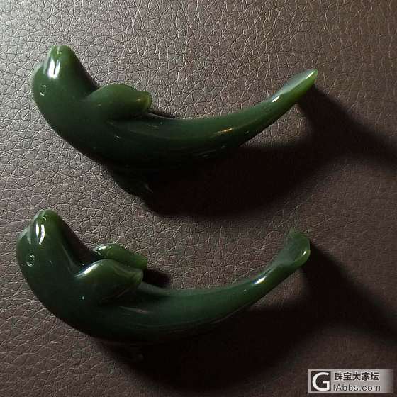 送闺蜜考研成功的礼物：就想告诉她现在去看海很难看到海豚！_碧玉