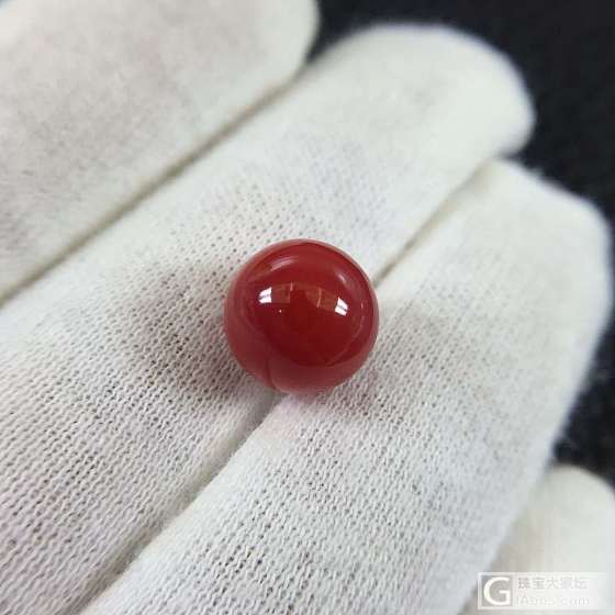 阿卡珊瑚圆珠，直径10mm 1.45克 完美全品_珊瑚