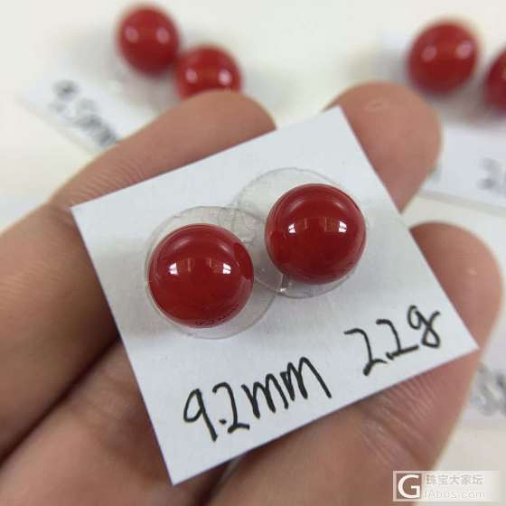 阿卡珊瑚耳钉_耳钉珊瑚