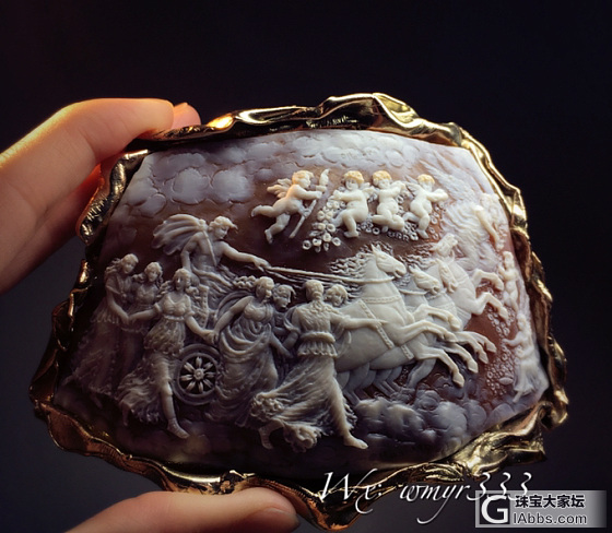 好大一块免死金牌 🙄️_贝壳