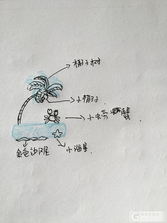 阳光沙滩海浪小螃蟹～_设计海纹石