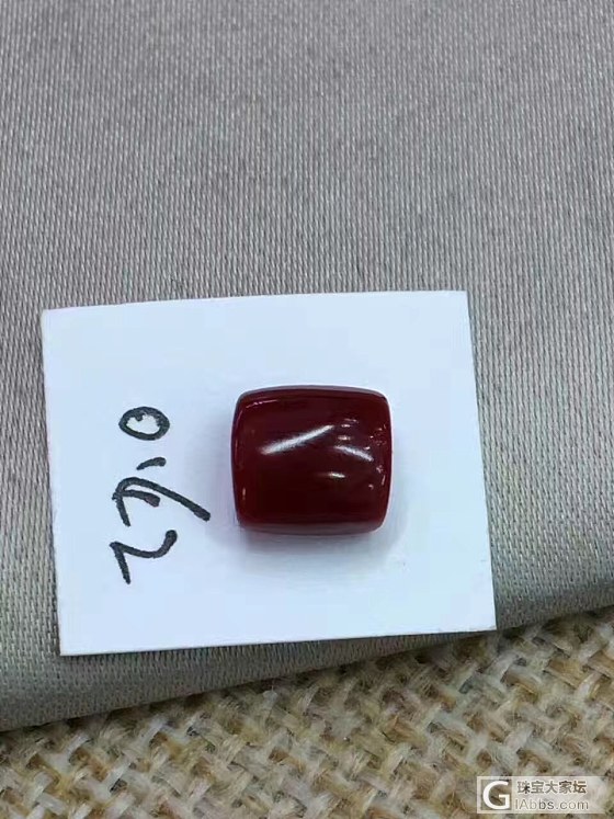 红珊瑚_珊瑚
