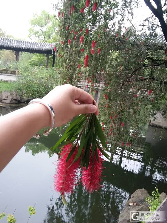 雨后的东湖公园_旅游