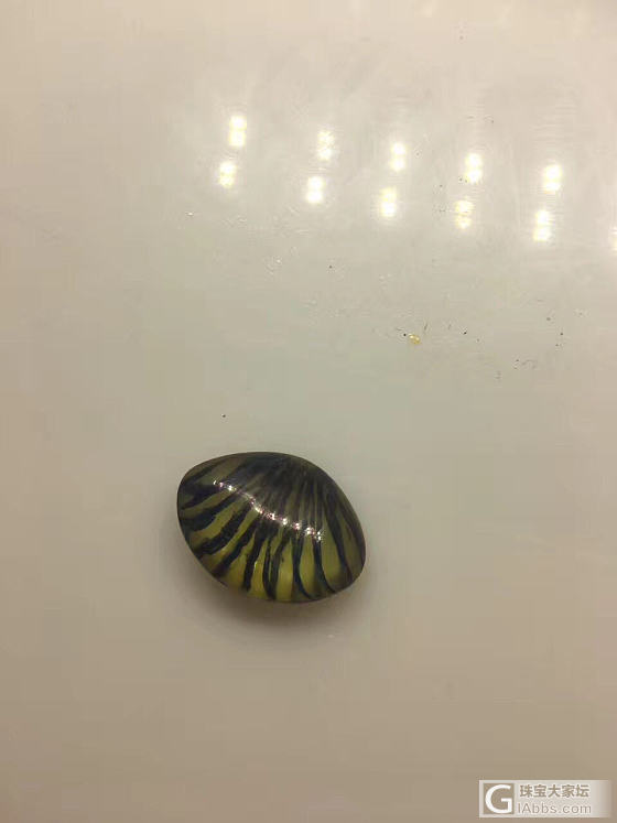 小贝壳_琥珀蜜蜡打磨