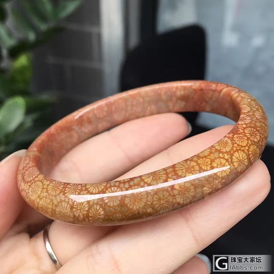 大爱的珊瑚玉_珊瑚玉手镯