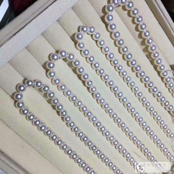 只看看不说话_海水珍珠项链