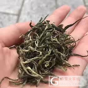 清明茶，手工茶，瑶山天然野生茶_茶叶