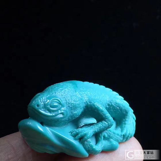 【蜥蜴】_雕刻