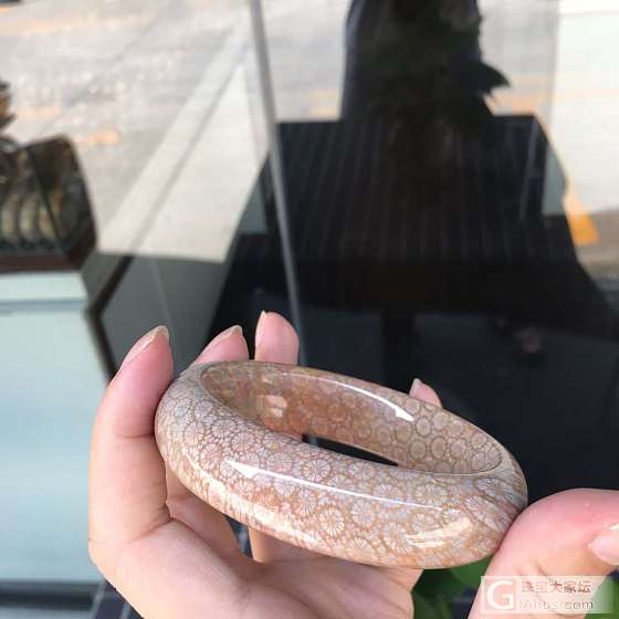 圈口58_手镯珊瑚玉