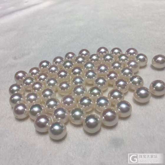 日本akoya_海水珍珠