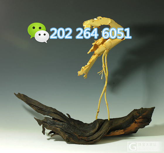 竹子还能这样玩，年轻妹纸痴迷竹雕，作品美哭了！_竹木雕