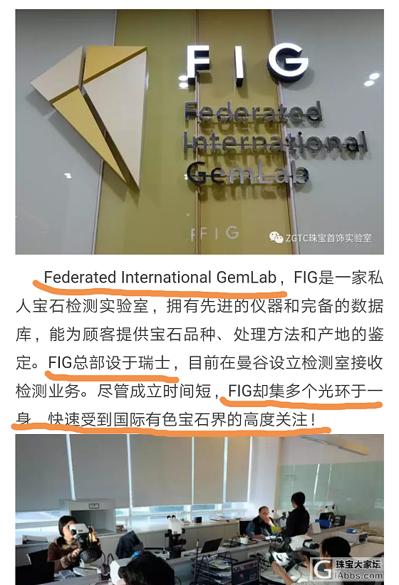 【FIG】FEDERATED INTERNATIONAL GEMLAB_机构证书祖母绿