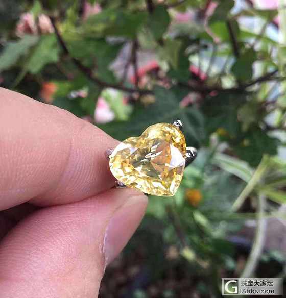 ##中颐天然无烧黄色蓝宝石##  5.85ct_戒指蓝宝石中颐彩色宝石