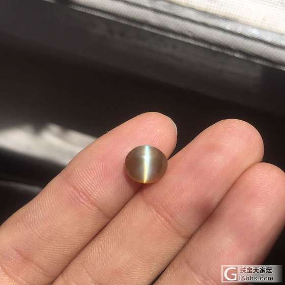 这个猫眼3.1ct，啥价格合适。谢_猫眼