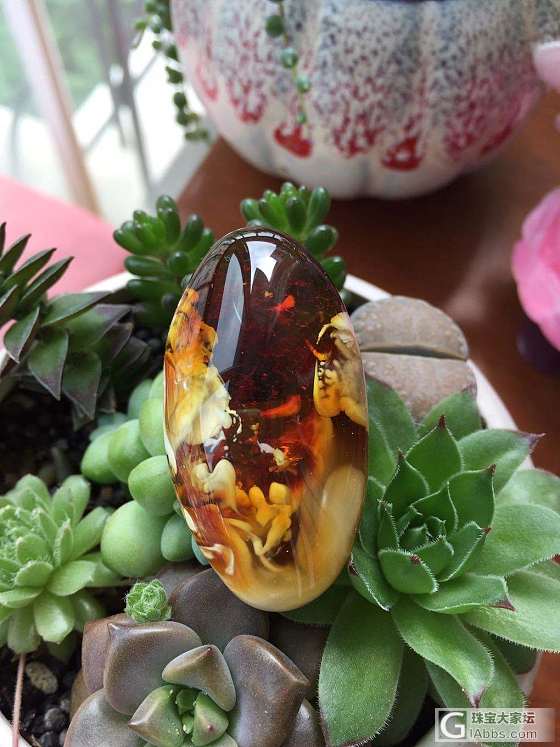 磨到个好的！真的好的！_打磨琥珀蜜蜡
