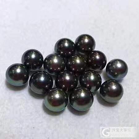 南洋孔雀珠_珍珠