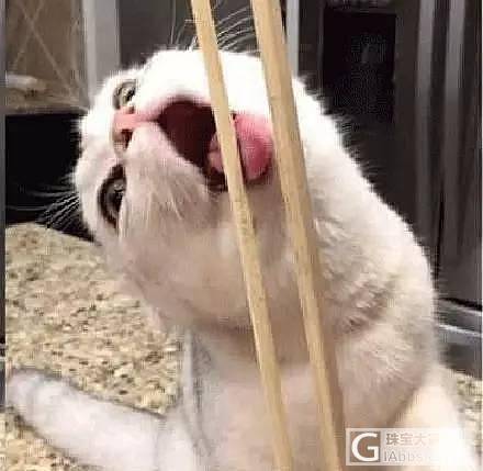 吃完饭，夹过鱼的筷子还没来得及洗，结果被猫咪看到后..._猫