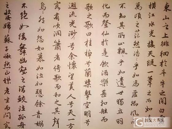 人秀珠宝我秀渣字_书法书画