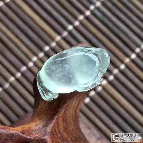 1000的镯子入不了，买800的叶子，或者四季豆如何？_挂件翡翠
