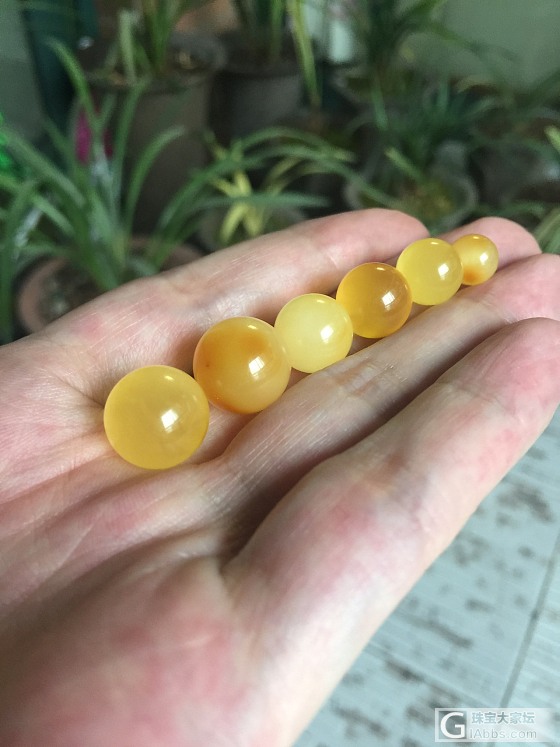 出不掉的原石又开始折腾_琥珀蜜蜡