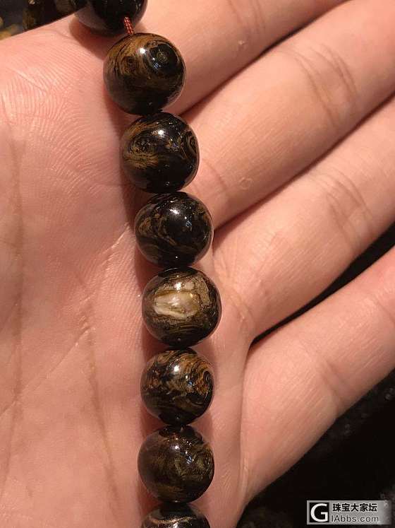 也有這樣的 金珊瑚_珠串珊瑚