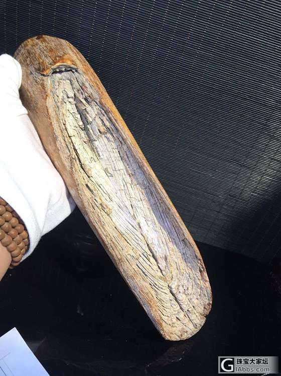 猛犸象牙摆件工艺品原牙雕刻_摆件猛犸象牙