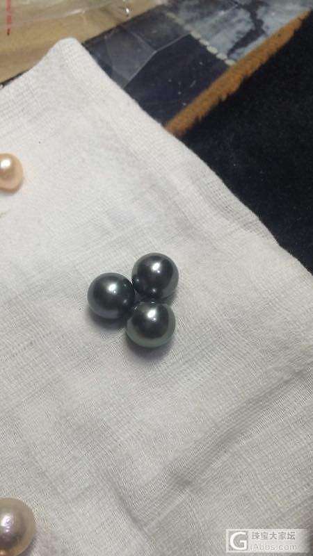 phil golden pearl or Tahiti black pearl_珍珠