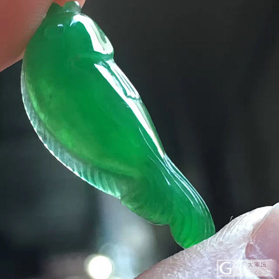小东西萌物_翡翠